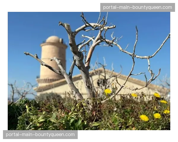 马赛俱乐部举办城市遗产日,开放更衣室与博物馆 马赛俱乐部举办城市遗产日,开放更衣室与博物馆